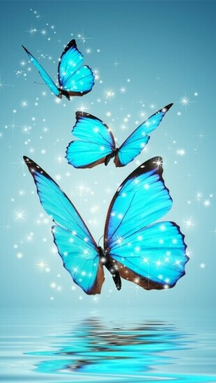 Related Pictures Blue Butterfly iPhone Wallpaper Background And Theme