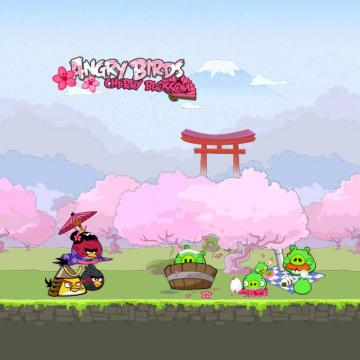 Angry Birds Seasons iPad Background By Sal9