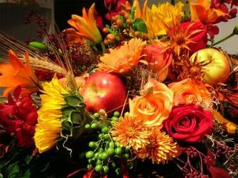 Autumn Flowers HD Wallpaper Background Elsetge