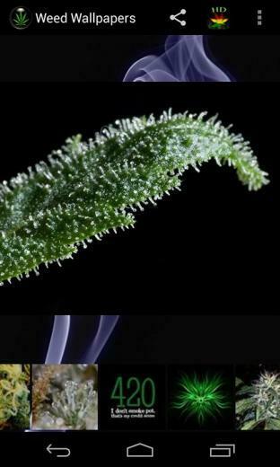 Weed HD Wallpaper The Best Image Of On Your Phone Simple And