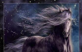 Horses Image Beautiful Horse HD Wallpaper And Background
