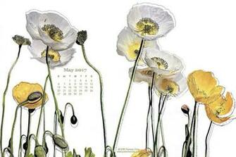 May Desktop Wallpaper Pamela Viola Art For Design