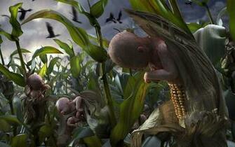 Stange Bizarre And Unusual Desktop Wallpaper Designbies