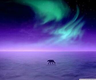 Aurora Borealis Wallpaper Full HD