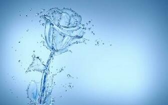 Cool Water Flower Wallpaper Px