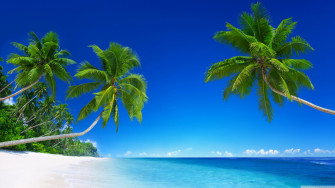 Tropical Beach Paradise 5k Ultra HD Desktop Background Wallpaper