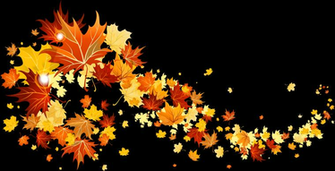 Fall Checklist Mason County Fire District Background