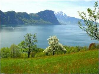 Spring In Switzerland Wallpaper