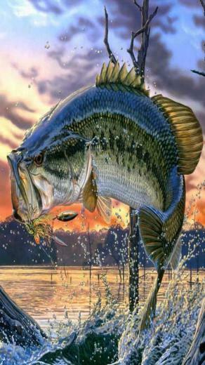 Alfa Img Showing Outdoors Hunting And Fishing Background