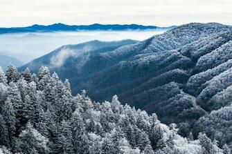 Smoky Mountains National Park Serena Tennessee Carolina North Wildlife