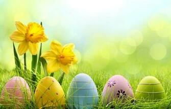 Daffodils Easter Spring Meadow Grass Wallpaper Photos Pictures
