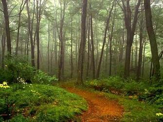 Most Beautiful Nature Scenes Yuyellows Net