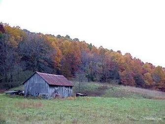 Woods Waters Wallpaper Of The Scenic Ozark Mountains