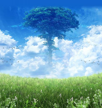 Miel Kari Xenoblade World Tree Background I Made Without