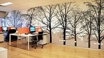 Forest Home Office 1080p HD Wallpaper Murals Poch In