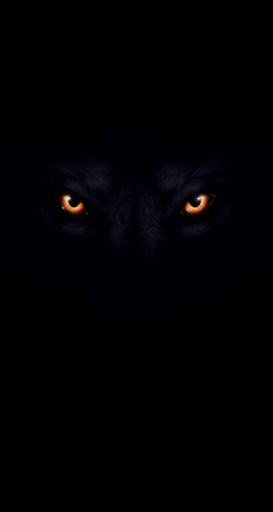 Top Cool Black Wolf Wallpaper Full HD 4k To Use