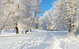 Winter Desktop Wallpaper Grasscloth