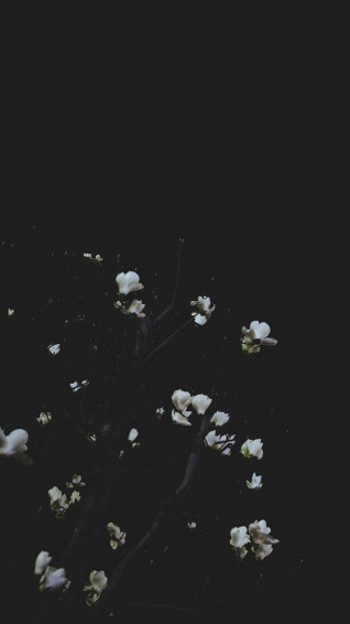 Take A Chill Pill With Mindful iPhone Wallpaper Preppy