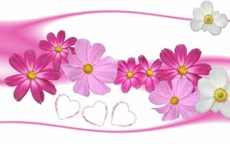 Flower Wallpaper For Android High Quality