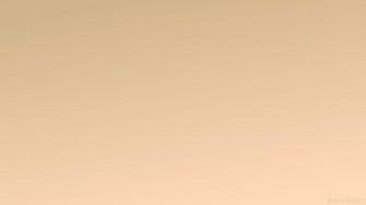 Tan Wallpaper