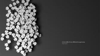 Black And White Clover For Luck Cool Full HD Desktop