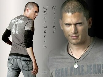Wentworth Miller Wallpaper Jpg