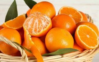 Orange Fruits Wallpaper
