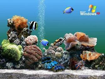 Aquarium Background Windows Wallpaper