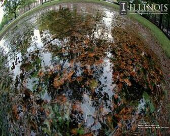 University Wallpaper You Should See Public Affairs And