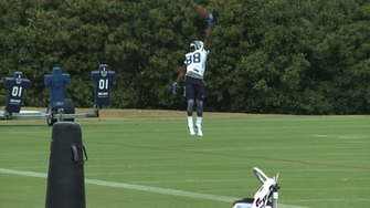 Dez Bryant One Handed Catch Wallpaper Background Festival