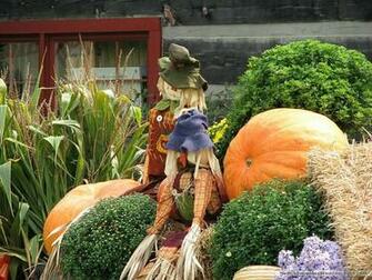 Pumpkin Display Pumpkins And Scarecrows Wallcoo Net