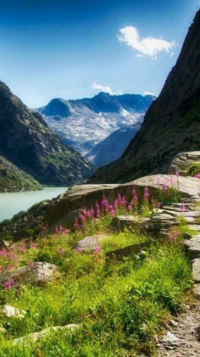 G4 HD River Stone Flower Mountain Lg Wallpaper