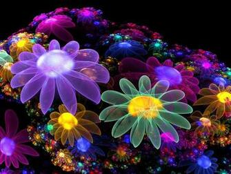 May Flowers Wallpaper