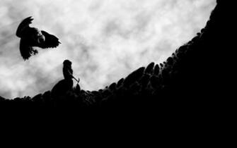 Dwarf Fortress HD Wallpaper Background