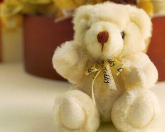 Teddy Bear Wallpaper HD Pictures One