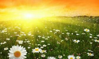 Best Of Nature Live Wallpaper Screenshot