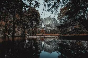 An Ecstatic Experience In The Valley HD Photo By Saketh Garuda