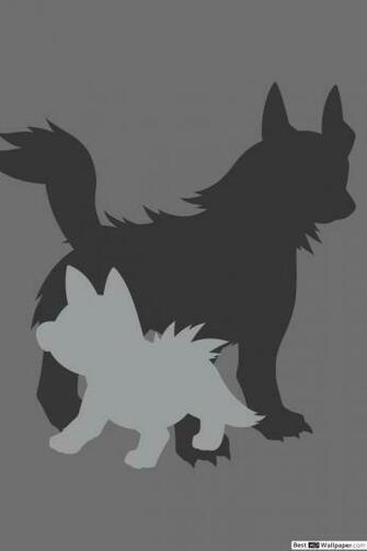 Mightyena And Poochyena Of Pokemon HD Wallpaper