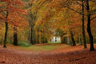 Autumn Desktop Background Background