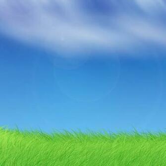 Cartoon Grass Wallpaper