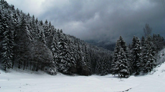 Snow Aesthetic Wallpaper