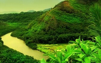 Wallpaper Beautiful HD