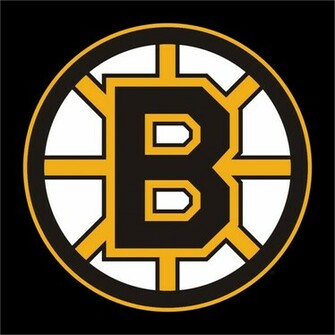 Boston Bruins Wallpaper Meet The Bear Pics HD Image