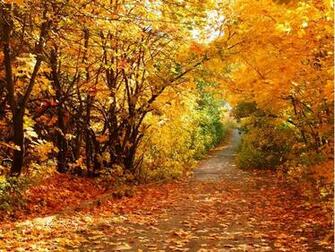 Beautiful Autumn Scenery Wallpaper