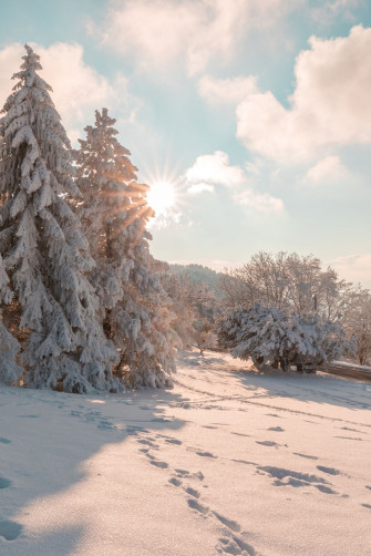 Snow Aesthetic Wallpaper