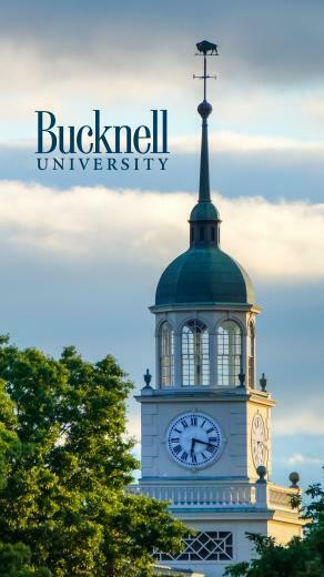 Bucknell Brand