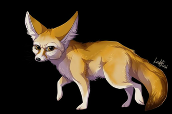 Fennec Fox Png Image Transparent Pngmart