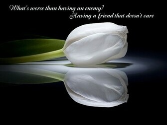 Quotes Wallpaper Beautiful Background With HD