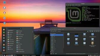 The Ultimate Update For Linux Mint Erik Dubois