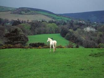 Irish Castles Wallpaper